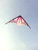 My first kite with a graphic